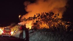 Karhutla Kalimantan Makin Mengkhawatirkan, Ribuan Titik Panas Terdeteksi dan Kabut Asap Ganggu Aktivitas